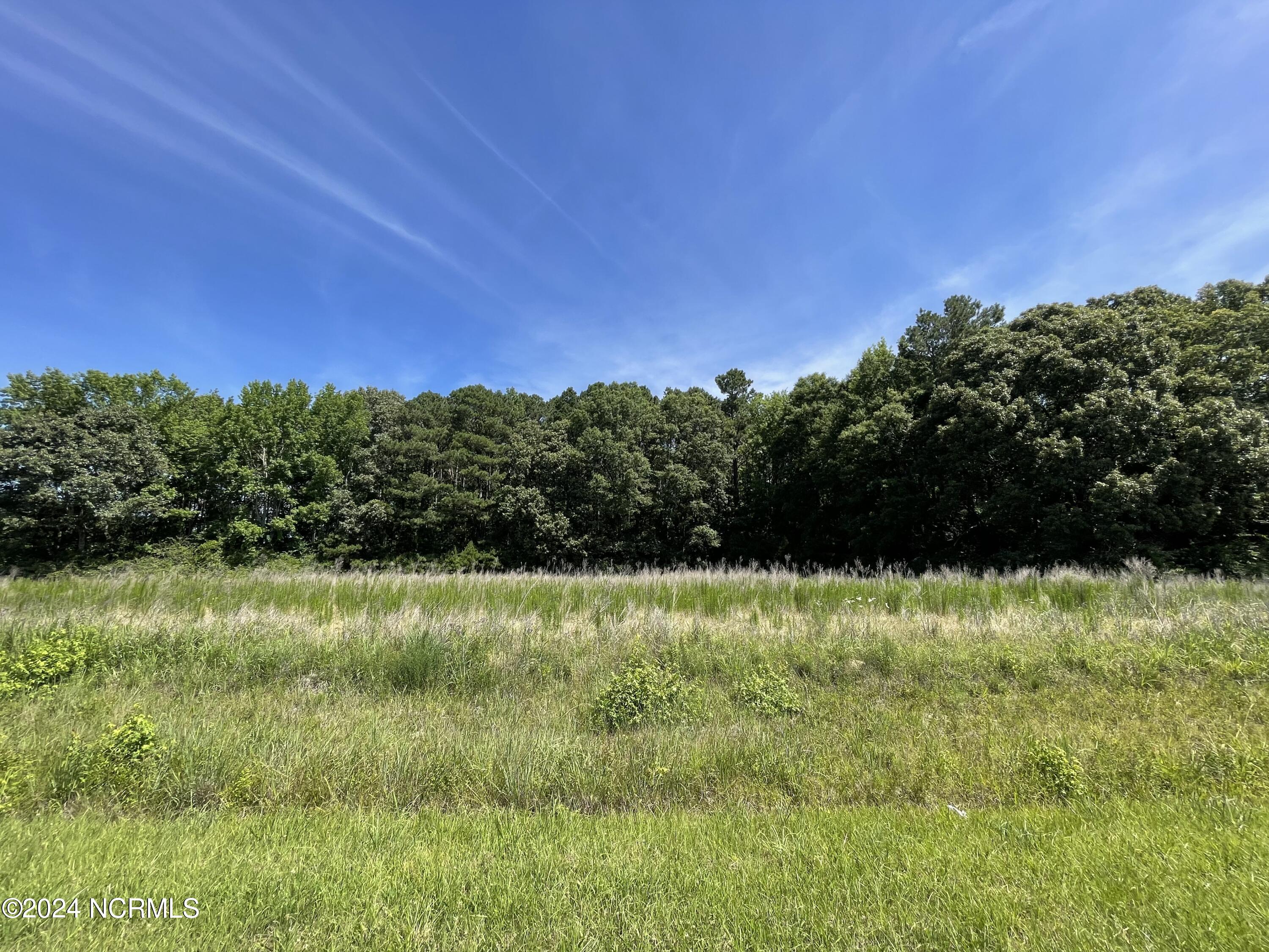 839-845 Cooper Hill Road Windsor, NC 27983 - Photo 5 of 11 Cooper Hill-8
