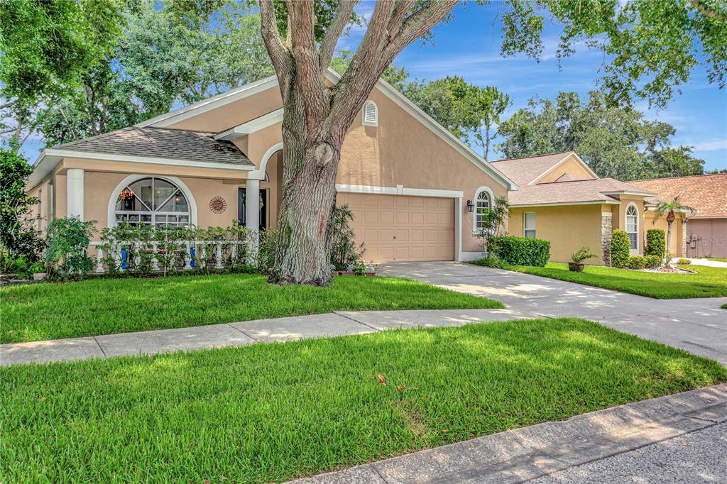 3049 Beaver Pond Trail Valrico, FL 33596 - Photo 48 of 49