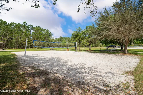 a view of a big yard with large trees