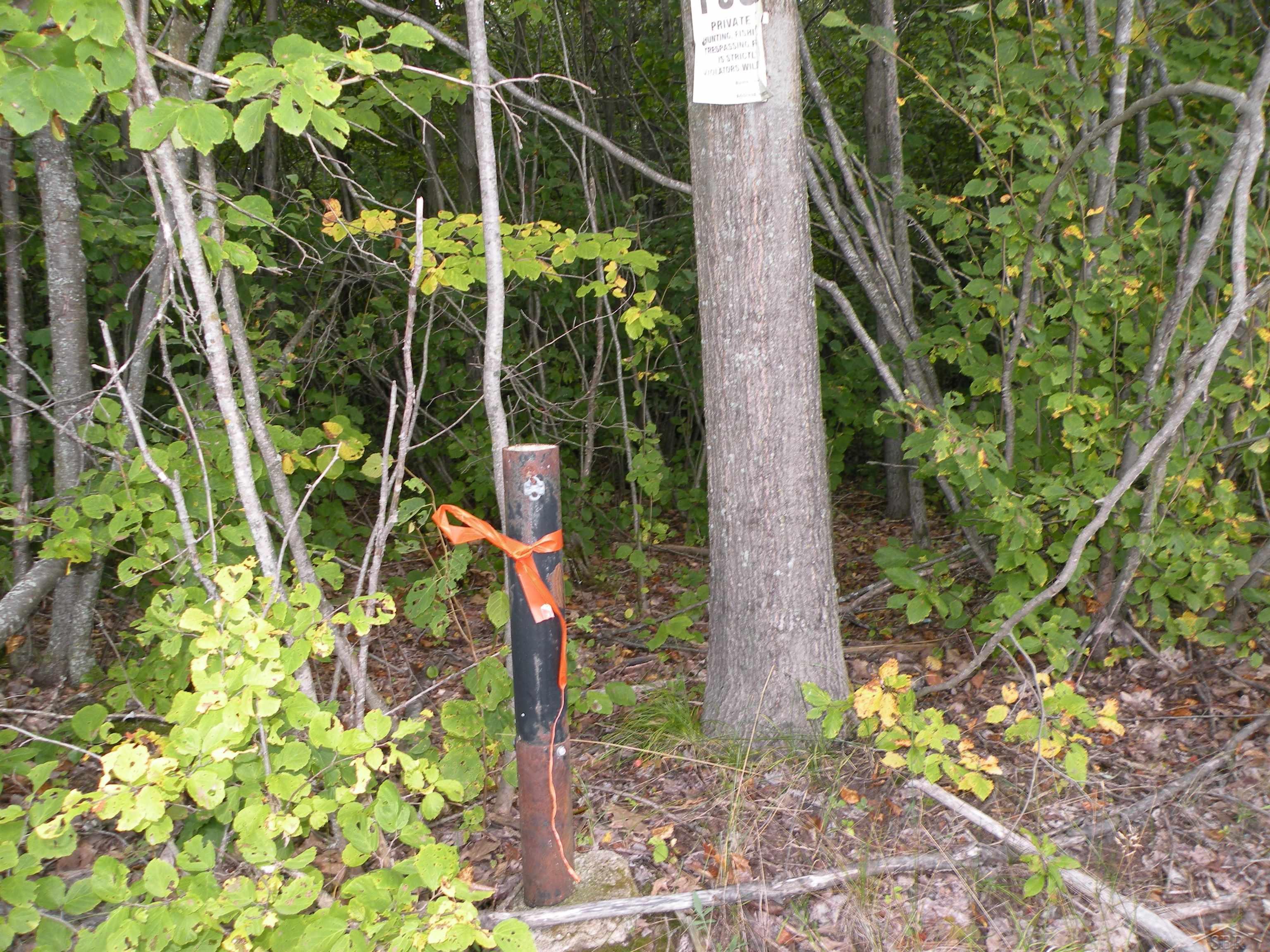 North County Line Road Farwell, MI 48622 - Photo 9 of 18