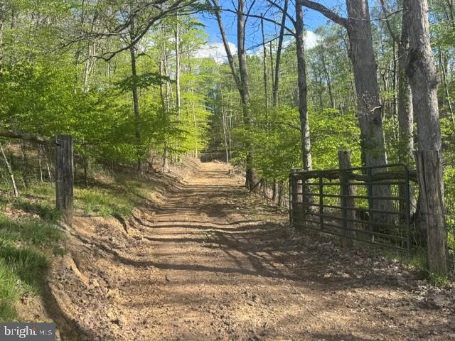 Tbd Shaffers Run Road Mill Creek, WV 26280 - Photo 21 of 43