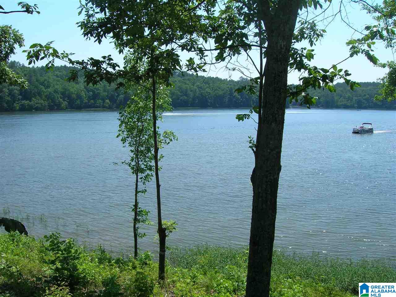 Stillwaters Trail Sylacauga, AL 35151 - Photo 1 of 30