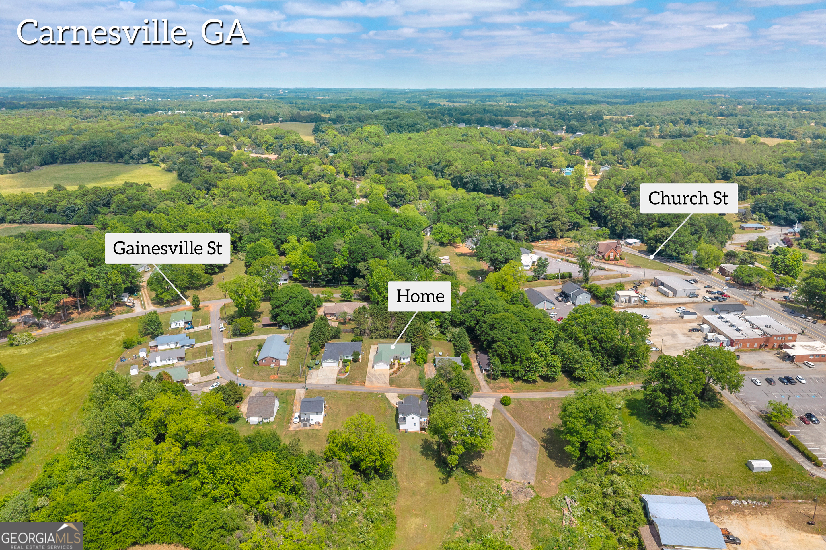 99 Parker Street Carnesville, GA 30521 - Photo 6 of 62