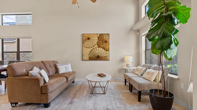 a living room with furniture a potted plant and a lamp
