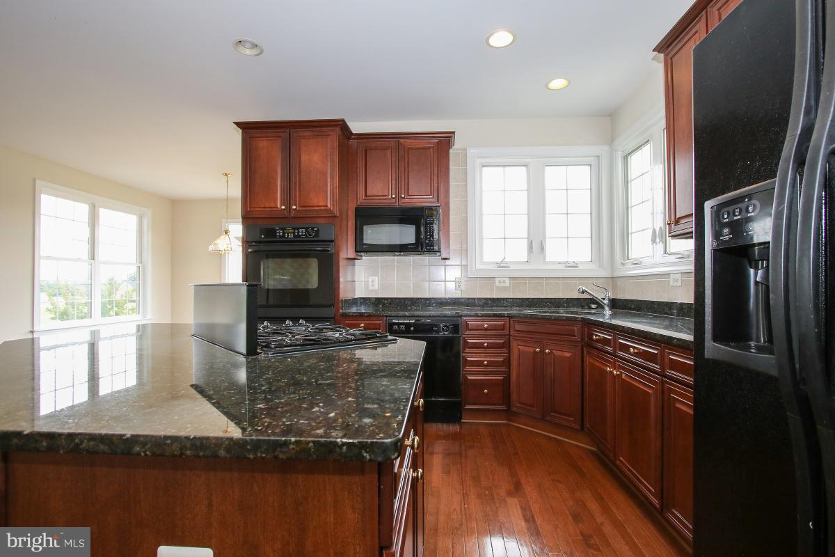 14113 Springview Court Leesburg, VA 20176 - Photo 11 of 26 Kitchen