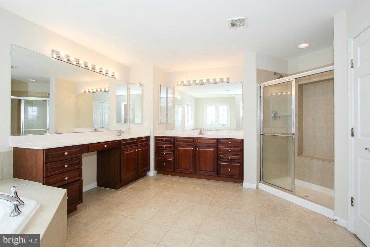 14113 Springview Court Leesburg, VA 20176 - Photo 16 of 26 Bath (Master)