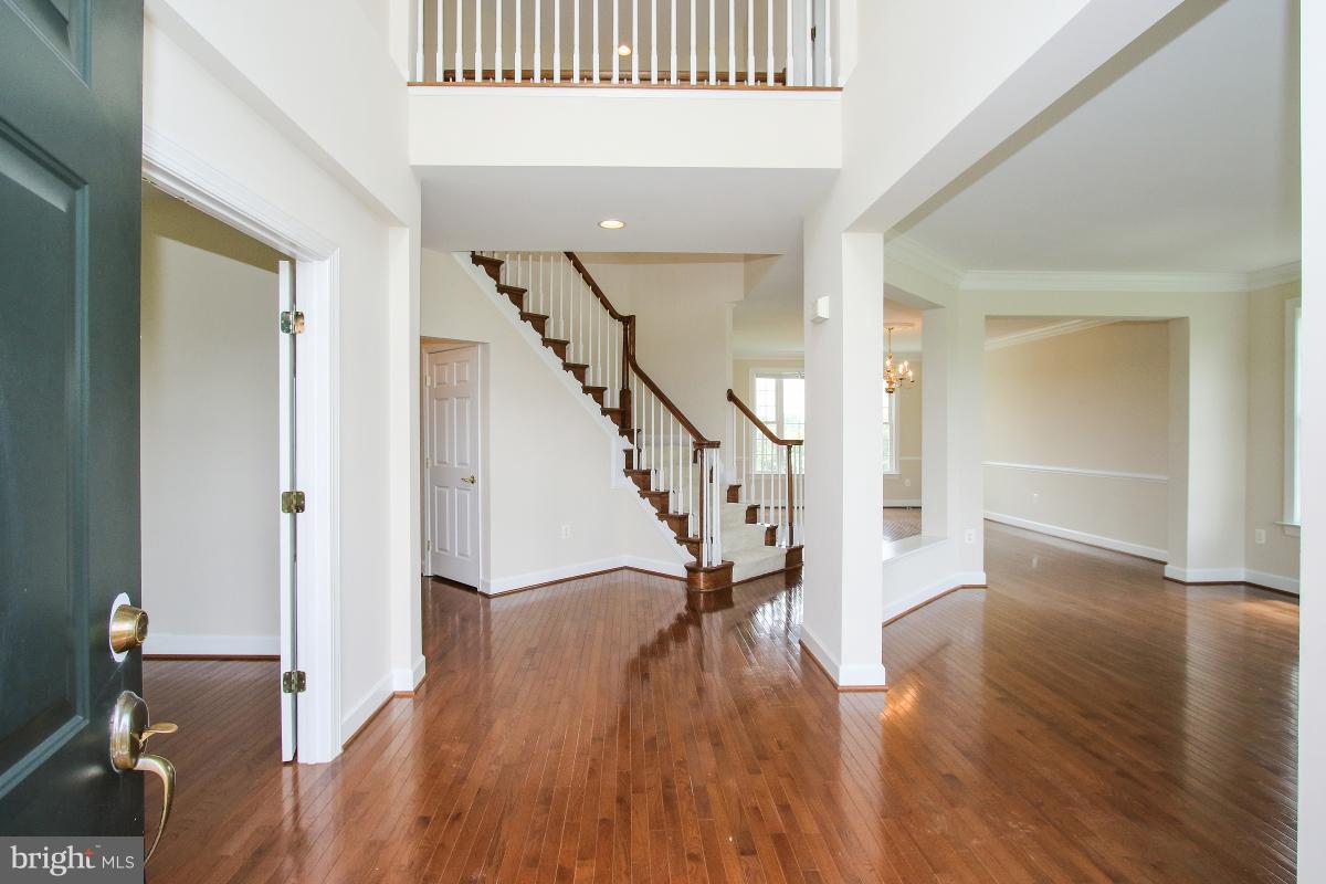 14113 Springview Court Leesburg, VA 20176 - Photo 3 of 26 Interior (General)