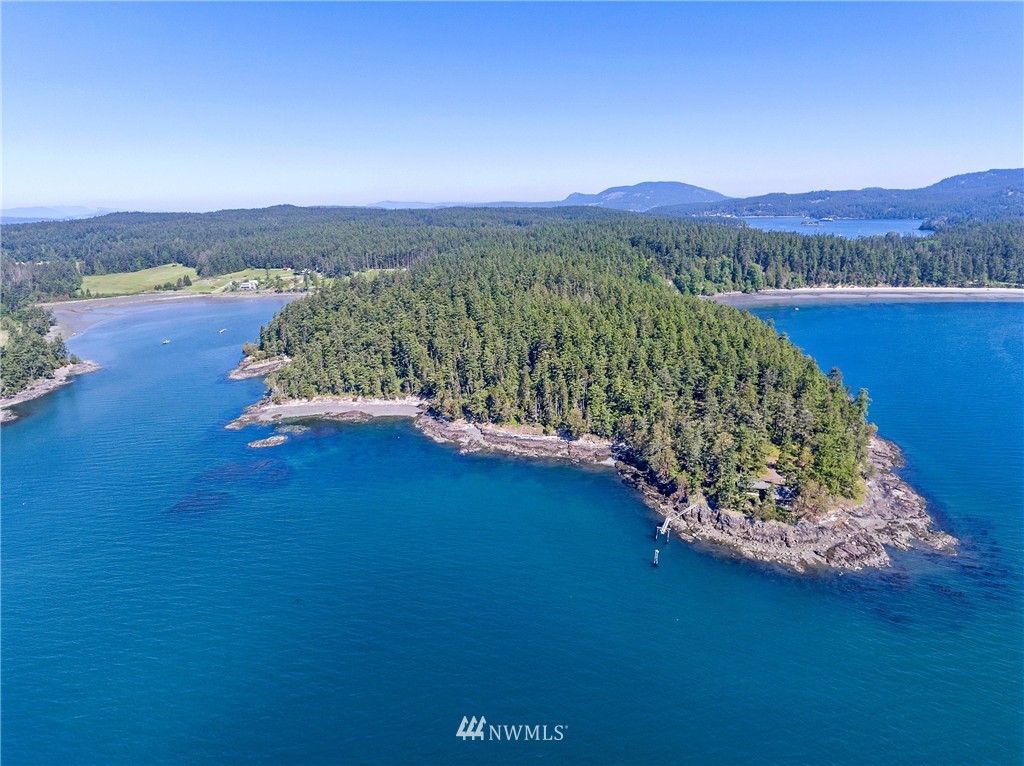821 Squaw Bay Road Shaw Island, WA 98286 - Photo 20 of 25 Gallery Image 20
