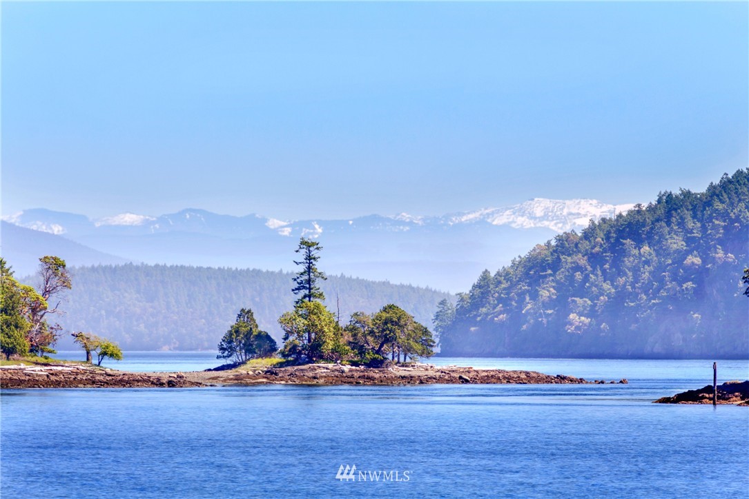 821 Squaw Bay Road Shaw Island, WA 98286 - Photo 22 of 25 Gallery Image 22