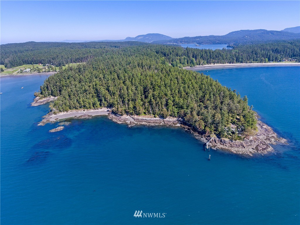 821 Squaw Bay Road Shaw Island, WA 98286 - Photo 9 of 25 Gallery Image 9