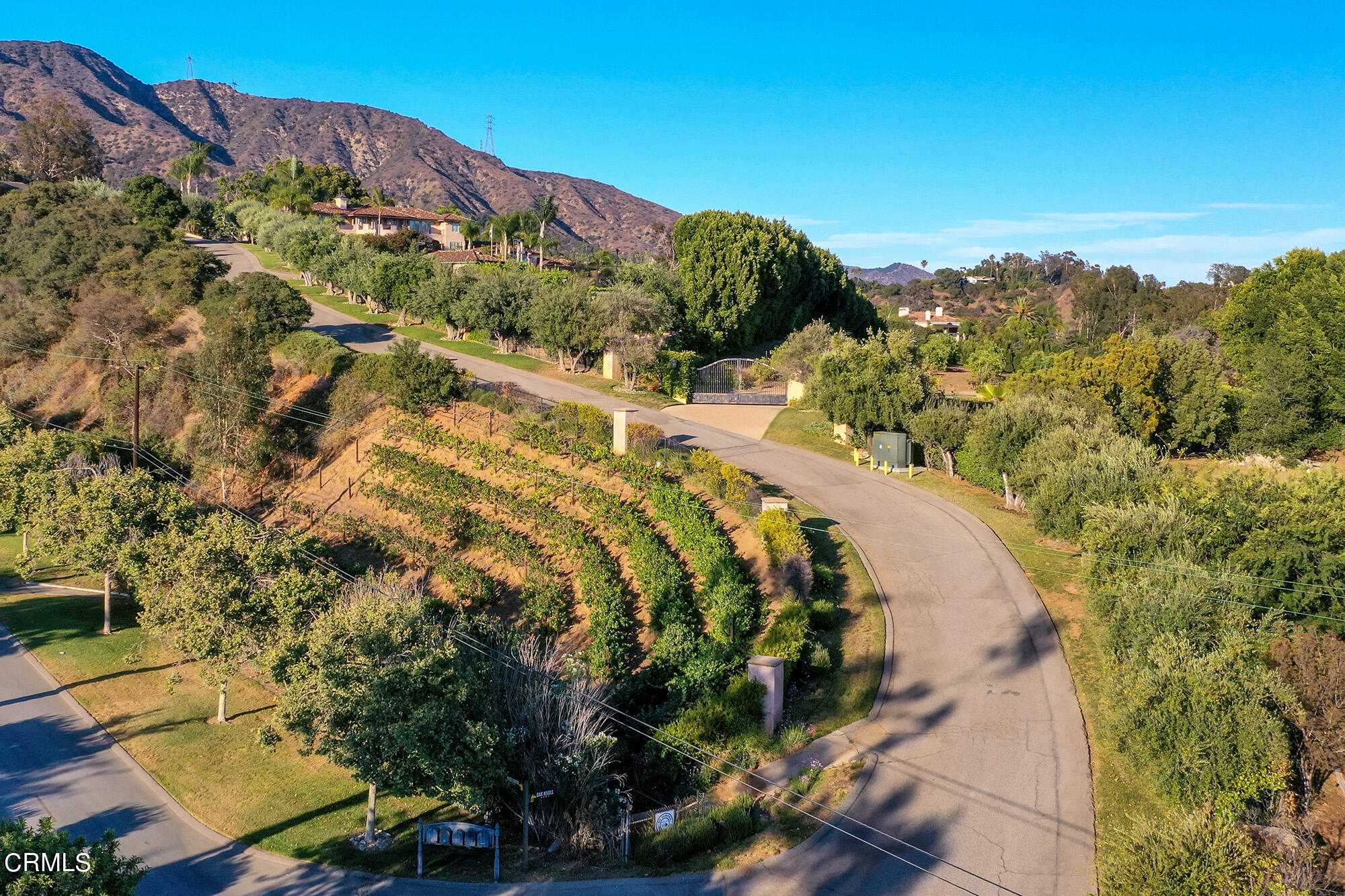 673 Deodar Lane Bradbury, CA 91008 - Photo 3 of 25 a view of a swimming pool with a yard