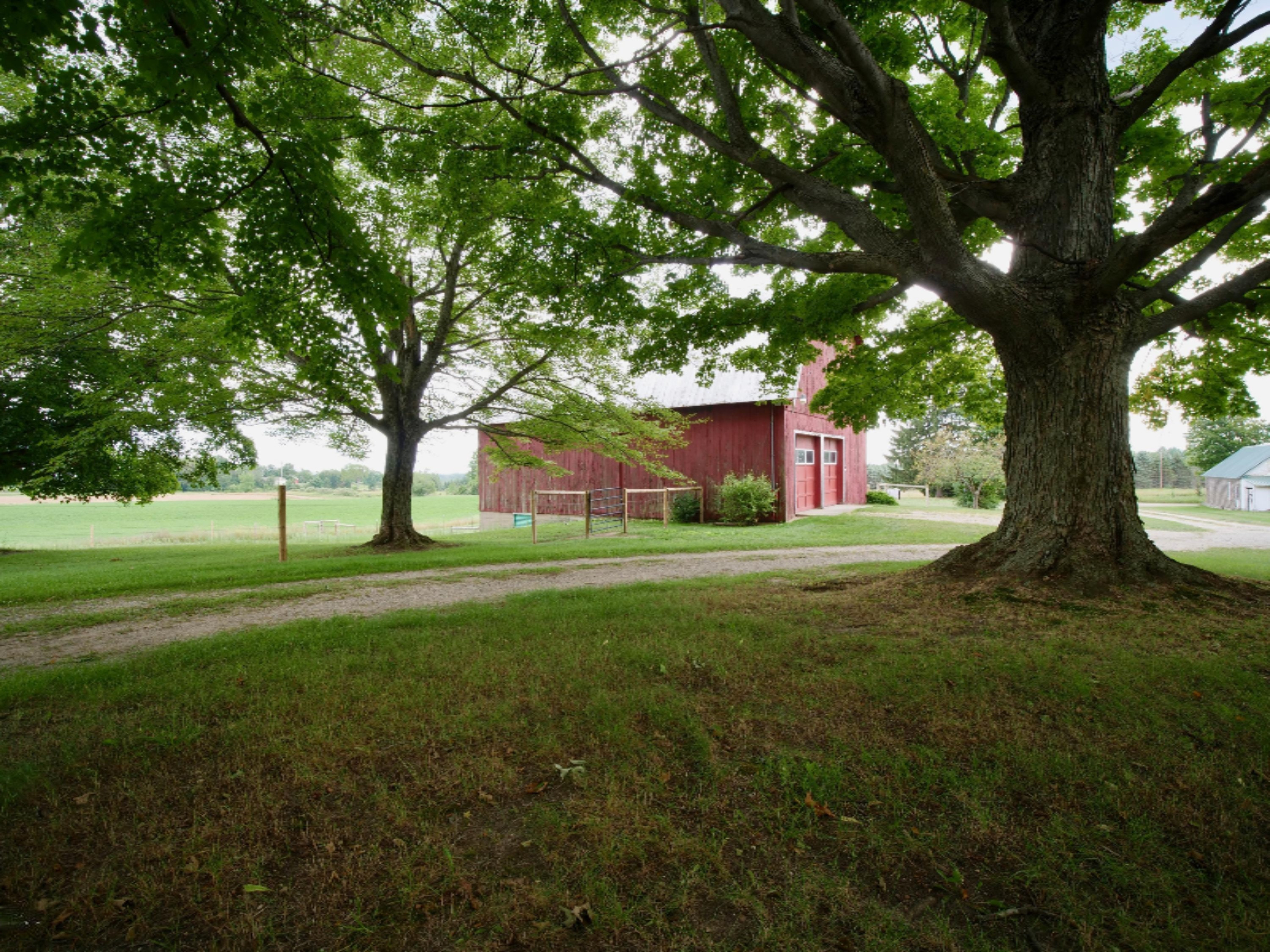 10797 37 1/2 Road Cadillac, MI 49601 - Photo 54 of 66 P1122603