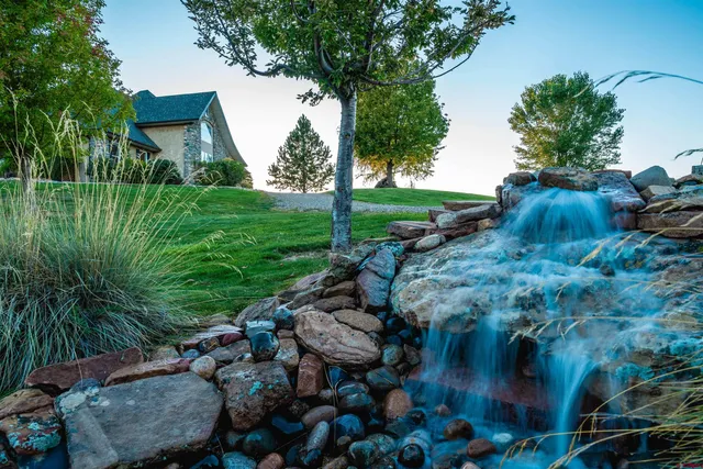 a view of a backyard