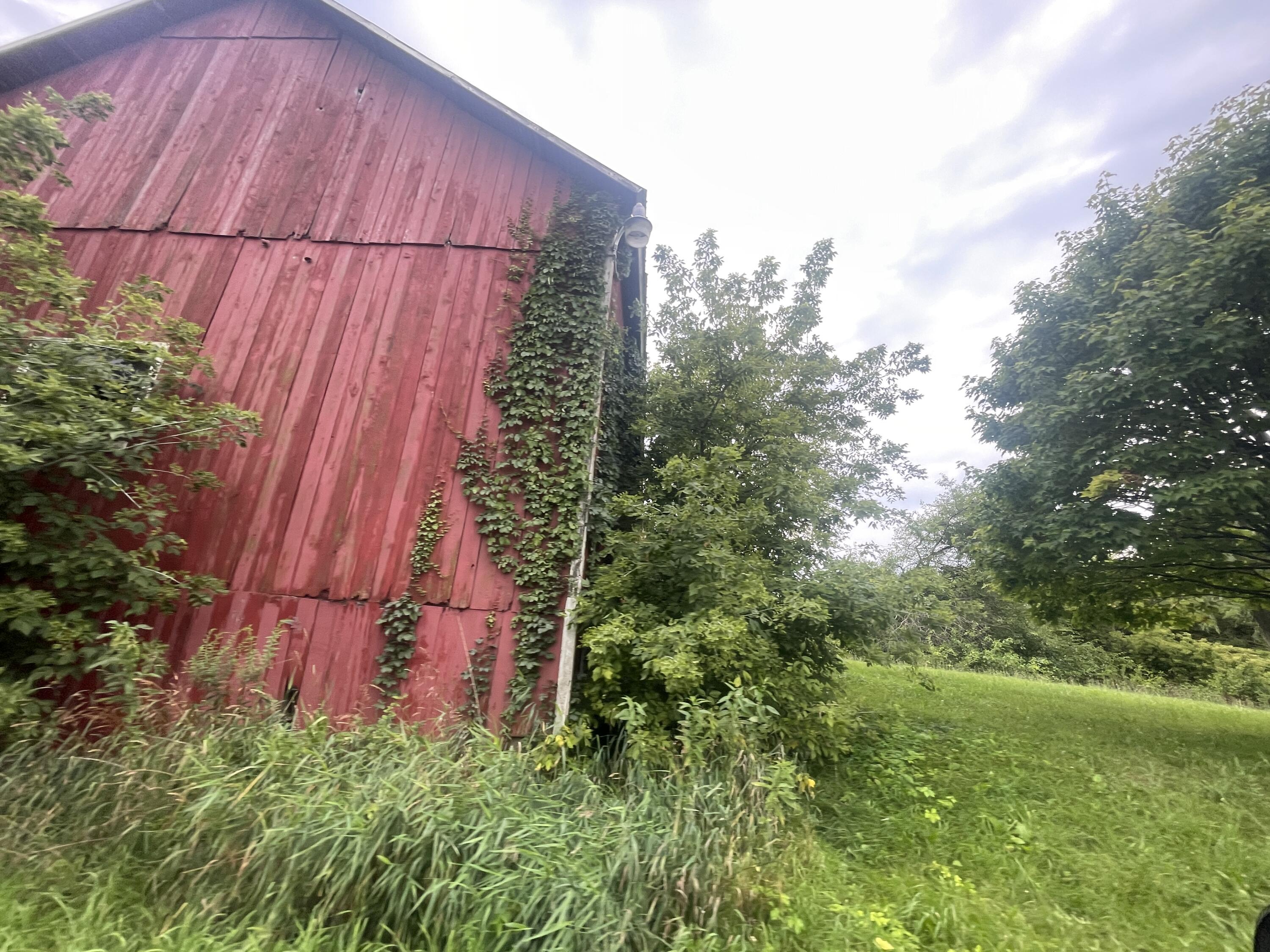 1095 East Copeland Road Montgomery, MI 49255 - Photo 14 of 17 IMG_3795