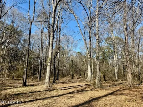 $175,000 | Northwest Boyd Trail Northwest, Brookhaven, MS 39601