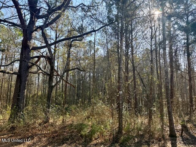 Northwest Boyd Trail Northwest Brookhaven, MS 39601 - Photo 11 of 59 IMG_7686