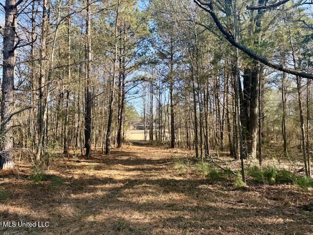 Northwest Boyd Trail Northwest Brookhaven, MS 39601 - Photo 12 of 59 IMG_7687