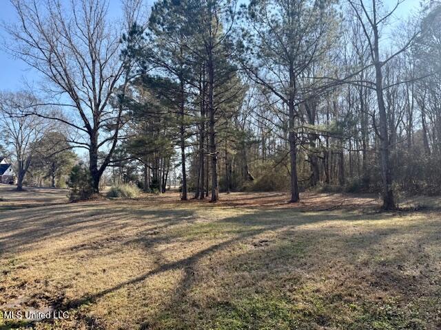 Northwest Boyd Trail Northwest Brookhaven, MS 39601 - Photo 14 of 59 IMG_7689