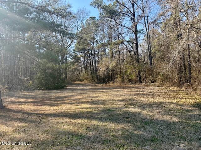 Northwest Boyd Trail Northwest Brookhaven, MS 39601 - Photo 15 of 59 IMG_7690