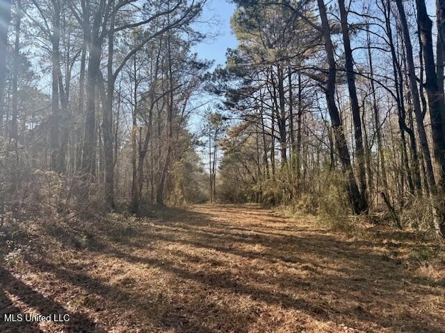 Northwest Boyd Trail Northwest Brookhaven, MS 39601 - Photo 16 of 59 IMG_7691