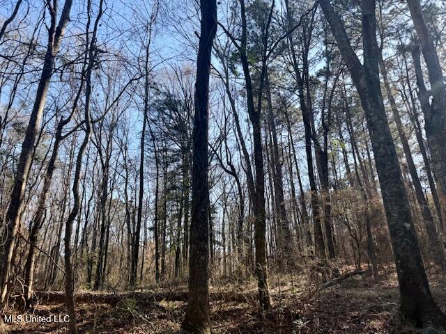 Northwest Boyd Trail Northwest Brookhaven, MS 39601 - Photo 17 of 59 IMG_7692