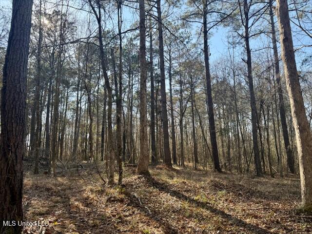 Northwest Boyd Trail Northwest Brookhaven, MS 39601 - Photo 18 of 59 IMG_7694