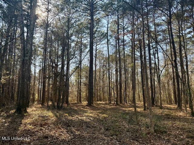 Northwest Boyd Trail Northwest Brookhaven, MS 39601 - Photo 19 of 59 IMG_7695