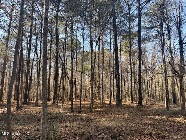 Northwest Boyd Trail Northwest Brookhaven, MS 39601 - Photo 20 of 59 IMG_7696