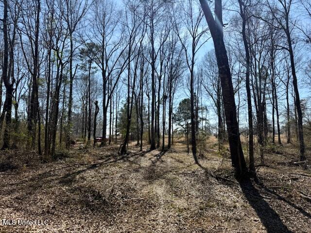 Northwest Boyd Trail Northwest Brookhaven, MS 39601 - Photo 2 of 59 IMG_7736