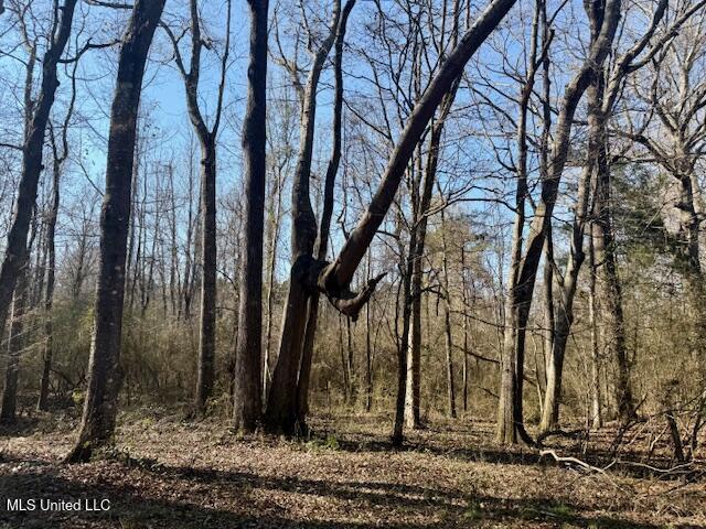Northwest Boyd Trail Northwest Brookhaven, MS 39601 - Photo 21 of 59 IMG_7697