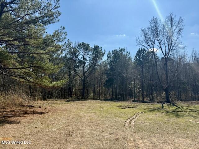 Northwest Boyd Trail Northwest Brookhaven, MS 39601 - Photo 22 of 59 IMG_7698