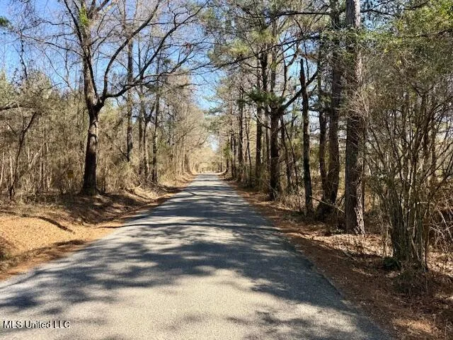 $175,000 | Northwest Boyd Trail Northwest, Brookhaven, MS 39601