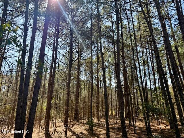 Northwest Boyd Trail Northwest Brookhaven, MS 39601 - Photo 25 of 59 IMG_7701