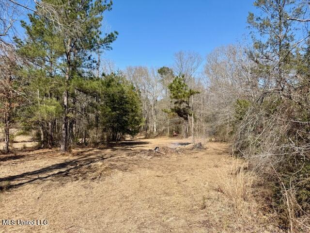 Northwest Boyd Trail Northwest Brookhaven, MS 39601 - Photo 27 of 59 IMG_7703
