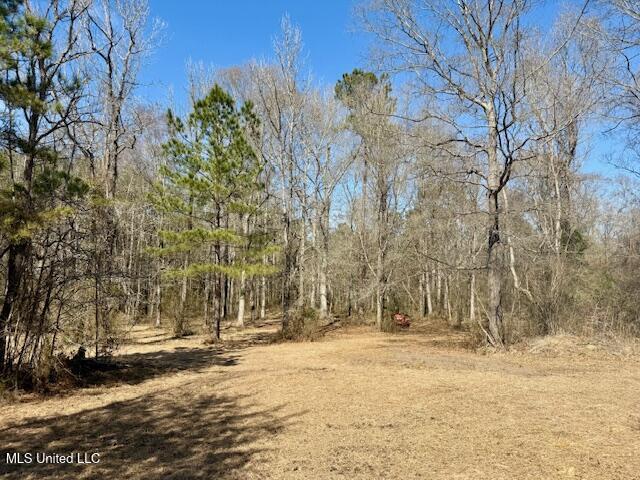 Northwest Boyd Trail Northwest Brookhaven, MS 39601 - Photo 28 of 59 IMG_7705