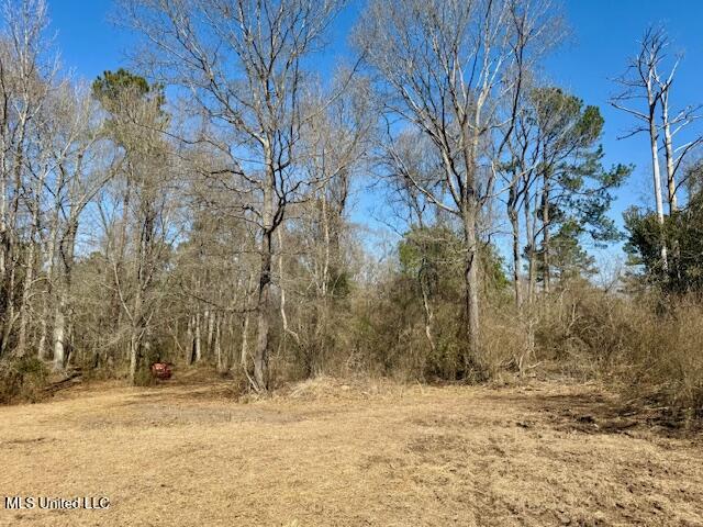 Northwest Boyd Trail Northwest Brookhaven, MS 39601 - Photo 29 of 59 IMG_7706