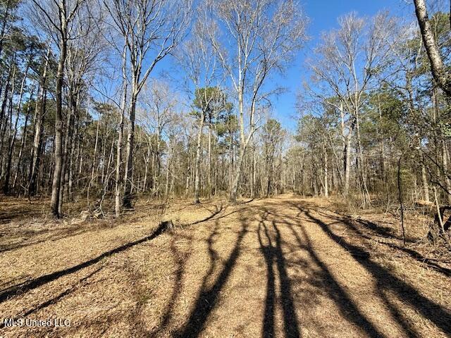 Northwest Boyd Trail Northwest Brookhaven, MS 39601 - Photo 30 of 59 IMG_7707