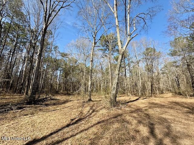 Northwest Boyd Trail Northwest Brookhaven, MS 39601 - Photo 31 of 59 IMG_7708