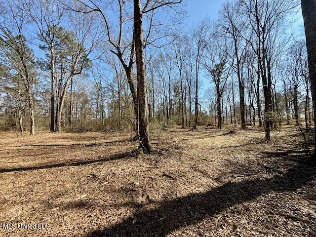 Northwest Boyd Trail Northwest Brookhaven, MS 39601 - Photo 32 of 59 IMG_7709