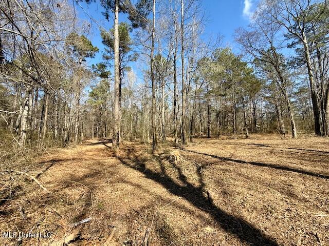 Northwest Boyd Trail Northwest Brookhaven, MS 39601 - Photo 33 of 59 IMG_7710
