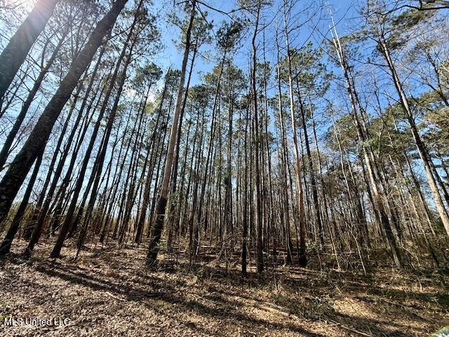 Northwest Boyd Trail Northwest Brookhaven, MS 39601 - Photo 34 of 59 IMG_7711