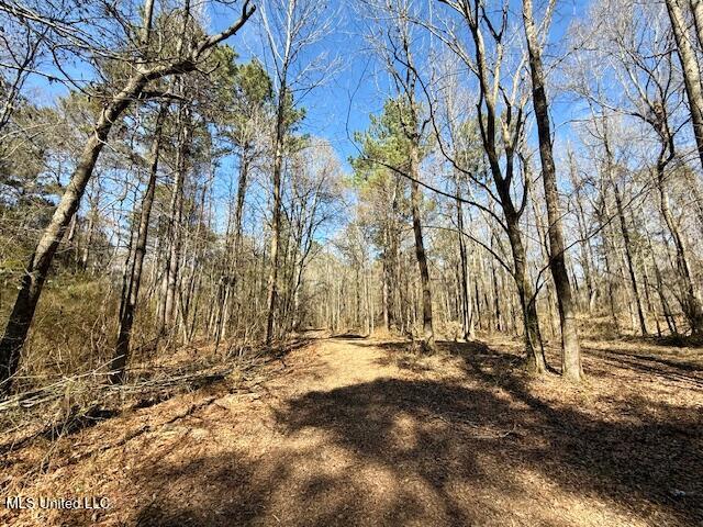 Northwest Boyd Trail Northwest Brookhaven, MS 39601 - Photo 35 of 59 IMG_7712