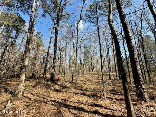 Northwest Boyd Trail Northwest Brookhaven, MS 39601 - Photo 36 of 59 IMG_7713