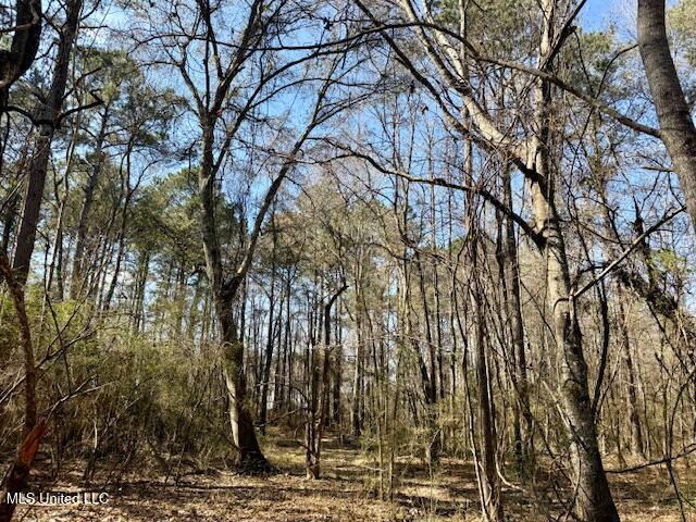 Northwest Boyd Trail Northwest Brookhaven, MS 39601 - Photo 38 of 59 IMG_7715