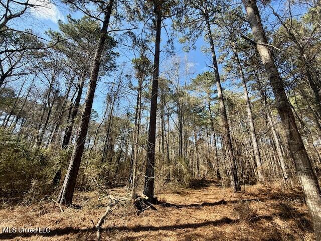 Northwest Boyd Trail Northwest Brookhaven, MS 39601 - Photo 39 of 59 IMG_7716