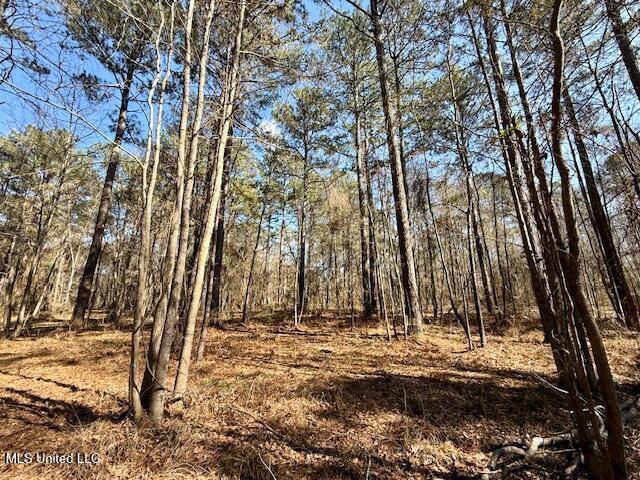 Northwest Boyd Trail Northwest Brookhaven, MS 39601 - Photo 40 of 59 IMG_7717