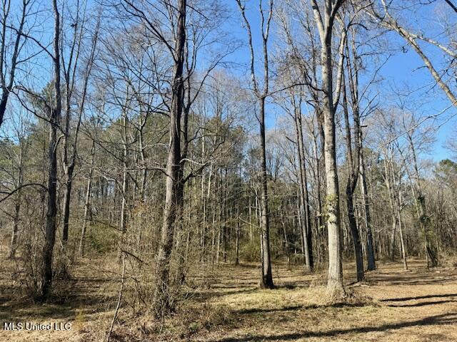 Northwest Boyd Trail Northwest Brookhaven, MS 39601 - Photo 4 of 59 IMG_7679