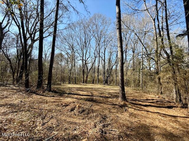 Northwest Boyd Trail Northwest Brookhaven, MS 39601 - Photo 43 of 59 IMG_7720