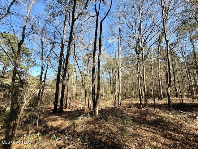 Northwest Boyd Trail Northwest Brookhaven, MS 39601 - Photo 44 of 59 IMG_7721