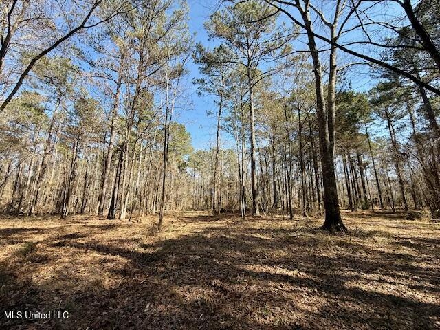 Northwest Boyd Trail Northwest Brookhaven, MS 39601 - Photo 45 of 59 IMG_7722